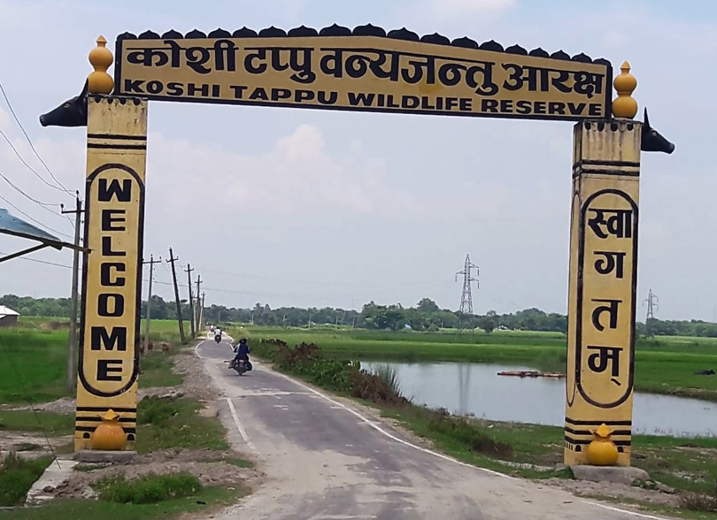 Koshi Tappu Wild Life Reserved